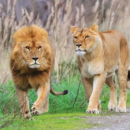 Tiny House La Nouvelle 포르트라누벨