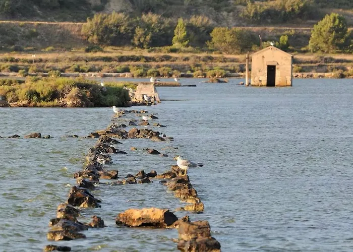 Tiny House La Nouvelle
